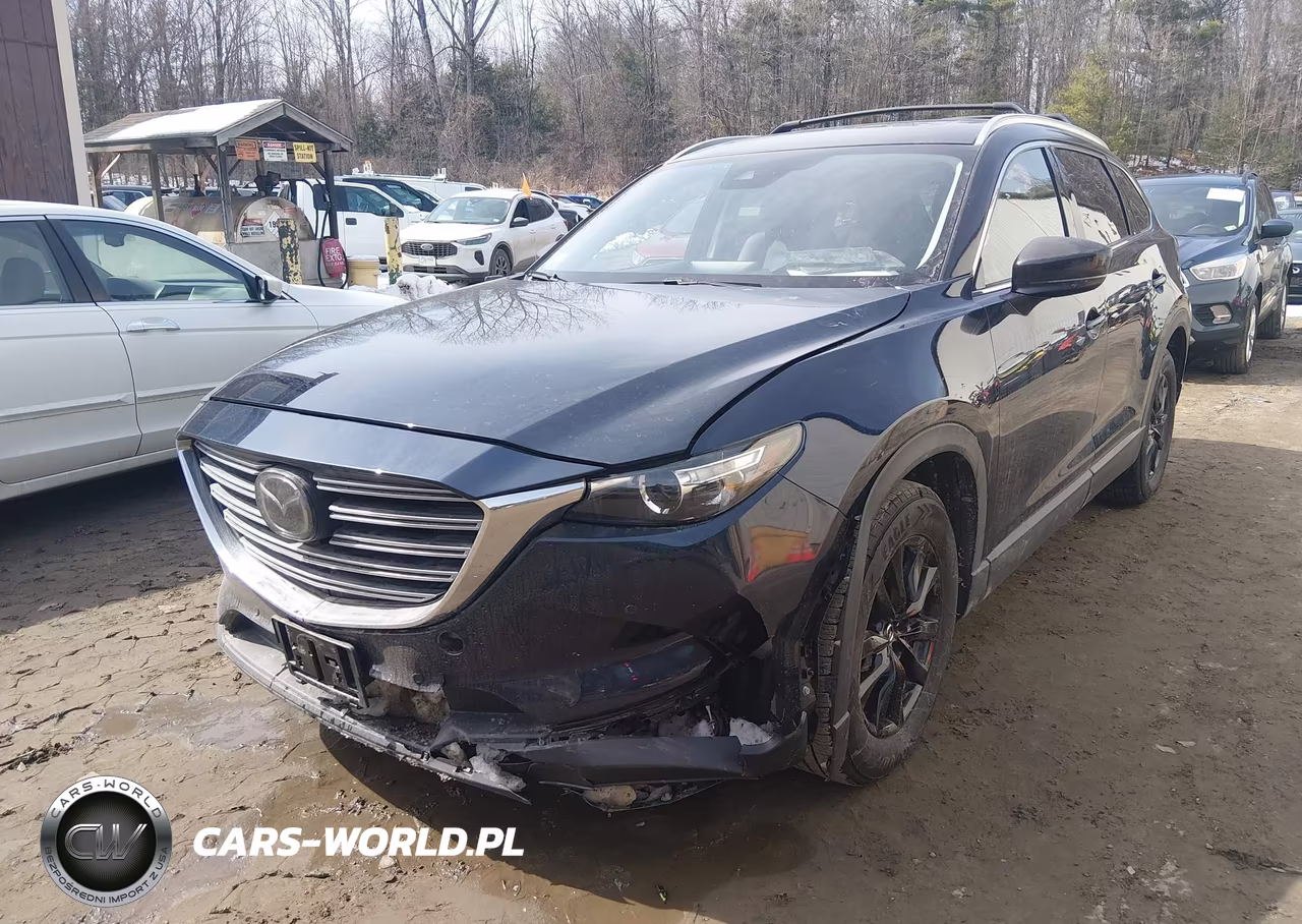 2022 Mazda Cx-9 Touring VIN:JM3TCBCY1N0624440 - 6