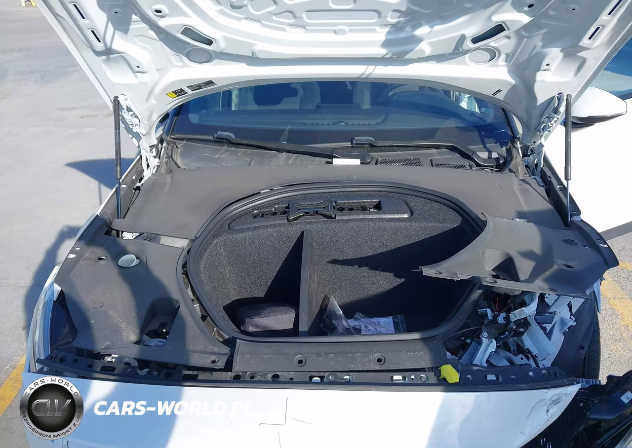 2024 Polestar 2 Long Range Dual Motor-Long Range Dual Motor Plus VIN:YSMFD3KA9RL225037 - 10