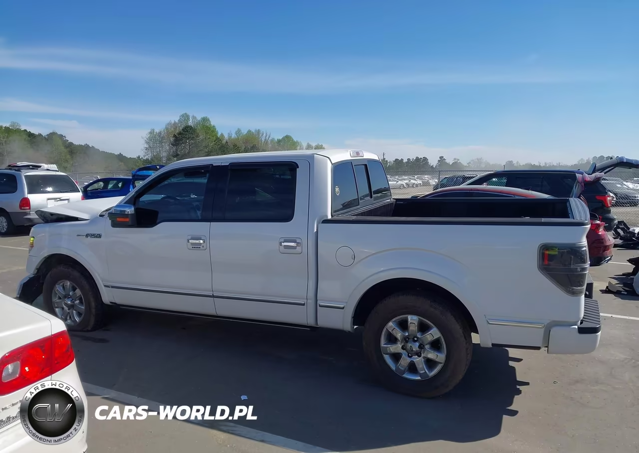 2010 Ford F-150 Fx2 Sport-Harley-Davidson-King Ranch-Lariat-Platinum-Xl-Xlt VIN:1FTFW1CV9AFC94714 - 14