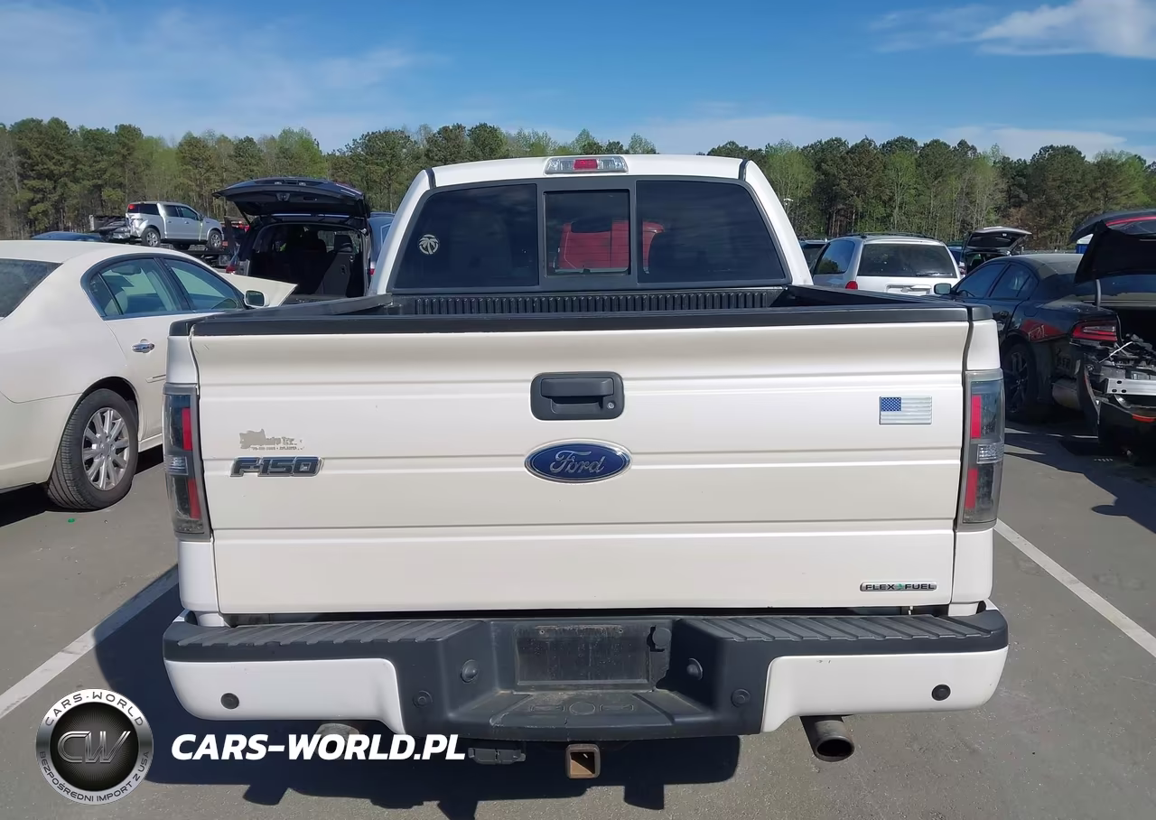 2010 Ford F-150 Fx2 Sport-Harley-Davidson-King Ranch-Lariat-Platinum-Xl-Xlt VIN:1FTFW1CV9AFC94714 - 16