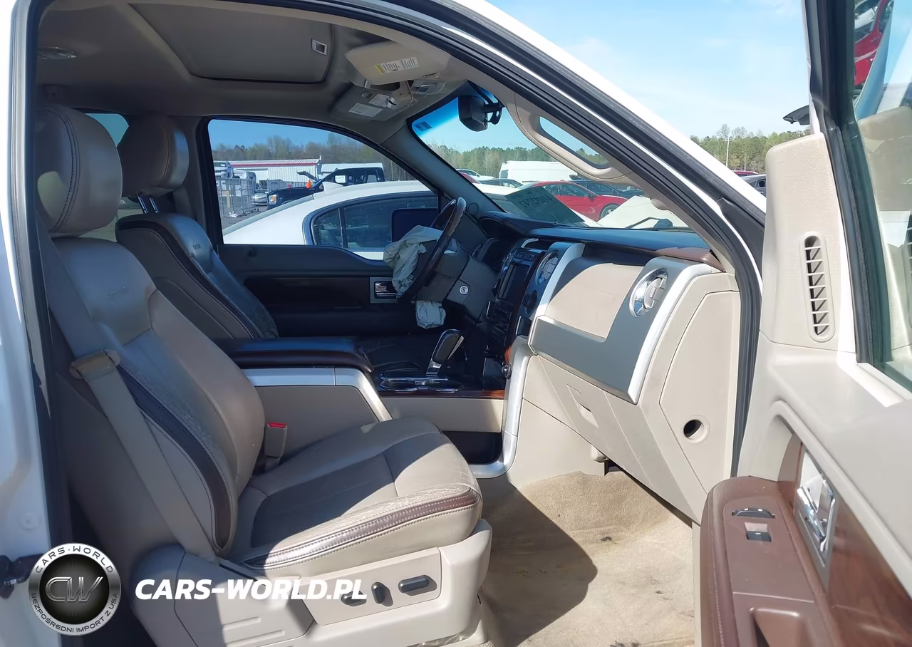 2010 Ford F-150 Fx2 Sport-Harley-Davidson-King Ranch-Lariat-Platinum-Xl-Xlt VIN:1FTFW1CV9AFC94714 - 5