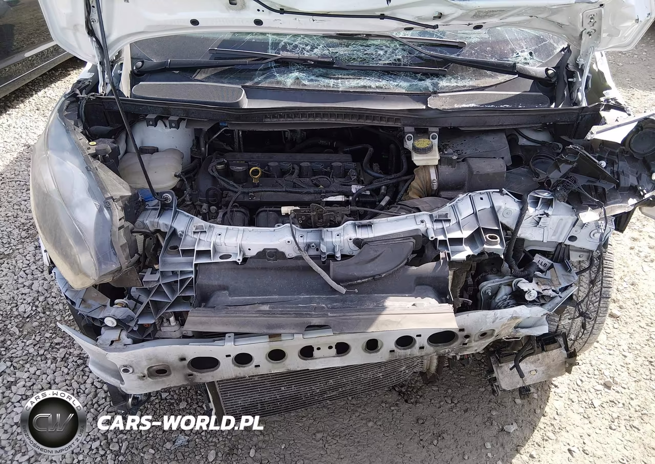 2015 Ford Transit Connect Xlt VIN:NM0GE9F78F1202402 - 10