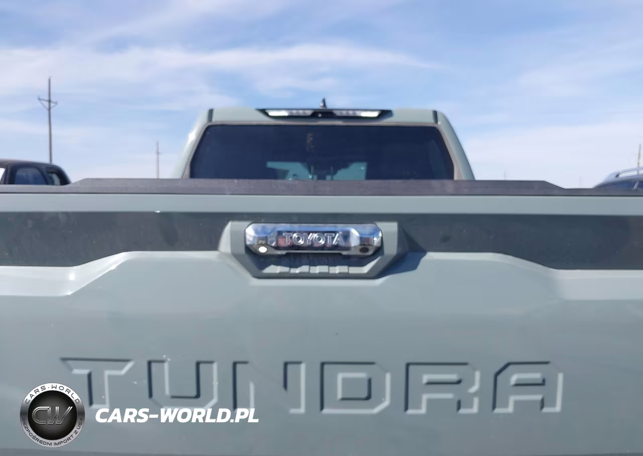 2025 Toyota Tundra Limited VIN:5TFJA5DB6SX299451 - 17