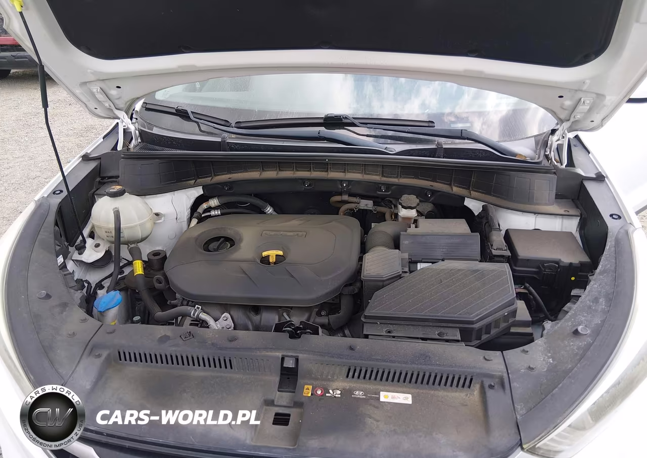 2018 Hyundai Tucson Se VIN:KM8J23A49JU694386 - 10