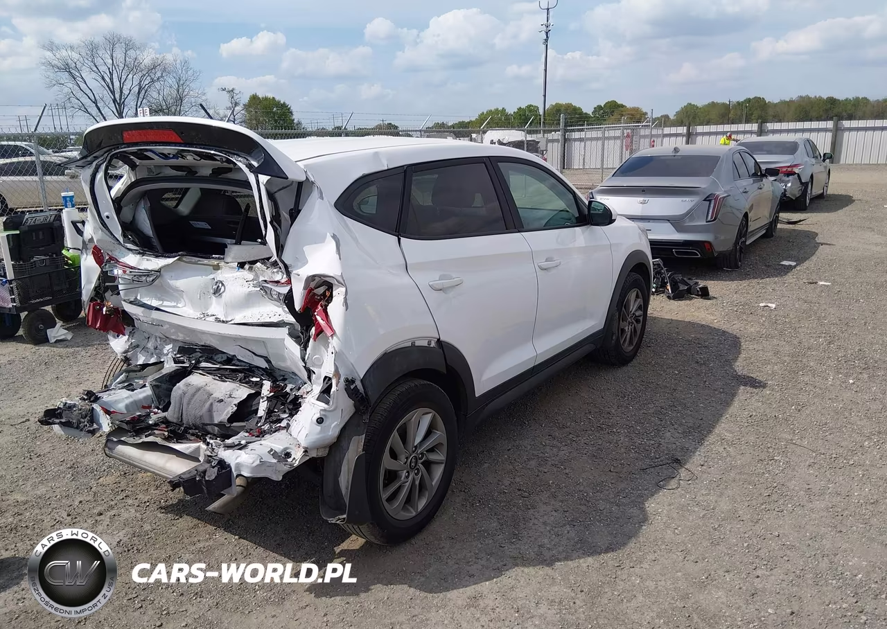 2018 Hyundai Tucson Se VIN:KM8J23A49JU694386 - 4