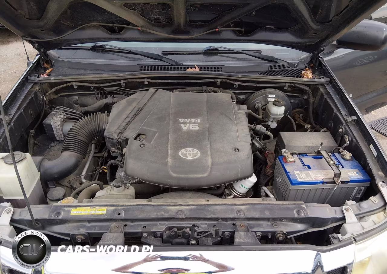 2009 Toyota Tacoma Base V6 VIN:3TMLU42N69M034701 - 10