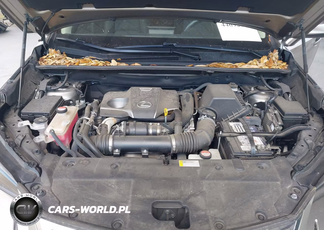 2016 Lexus Nx 200T VIN:JTJBARBZXG2078285 - 10