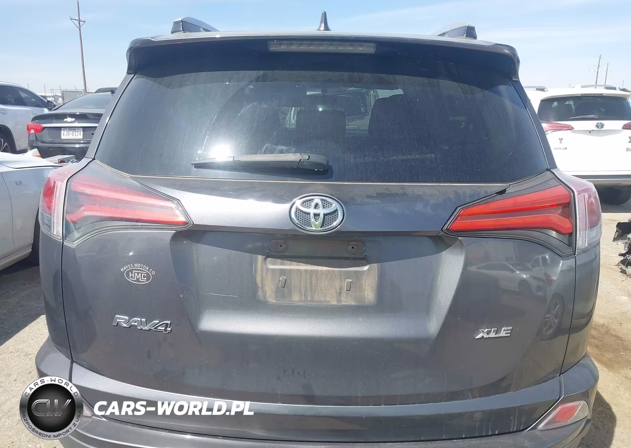 2016 Toyota Rav4 Xle VIN:2T3WFREV2GW280611 - 16