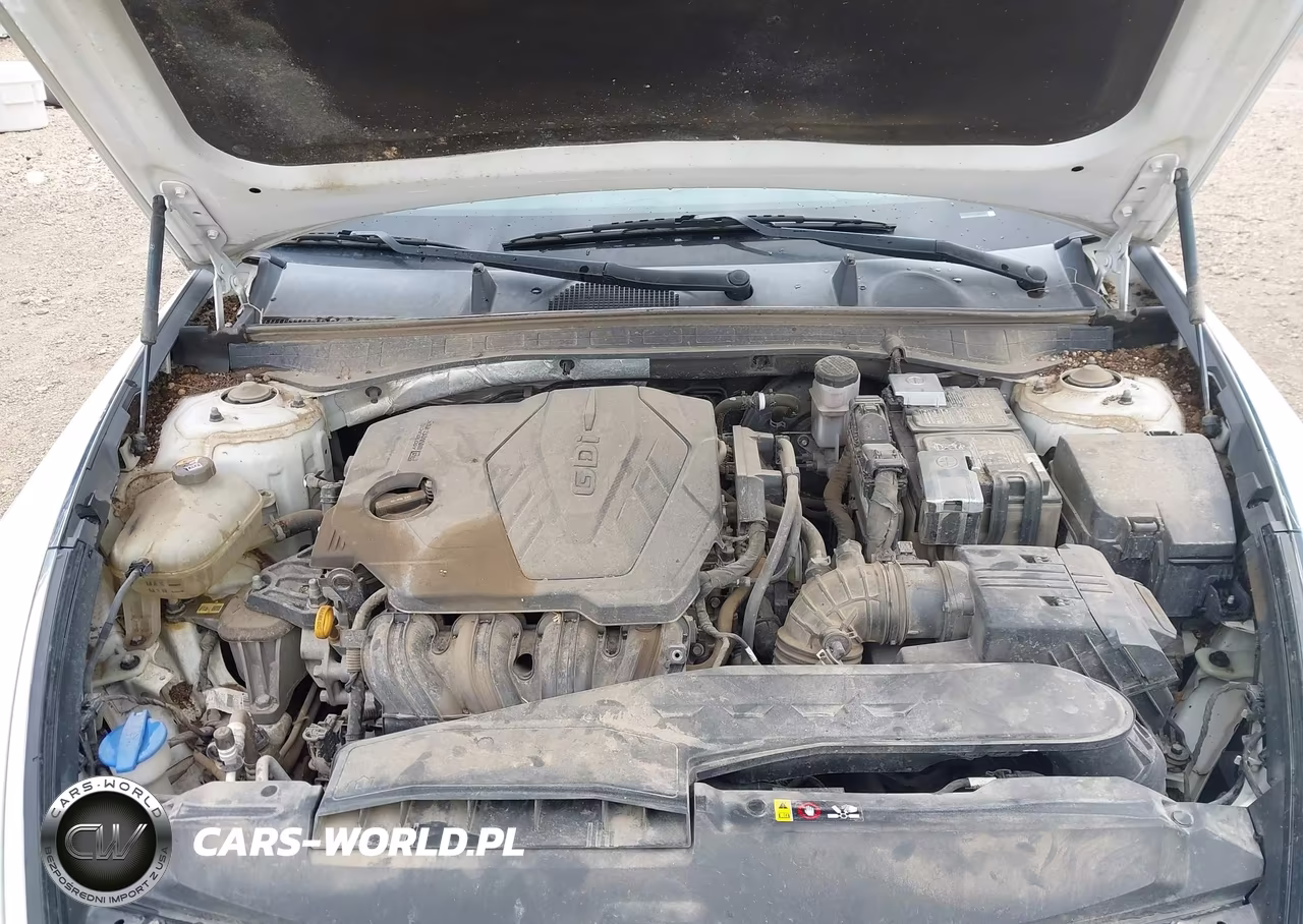 2020 Hyundai Sonata Se VIN:5NPEG4JAXLH030520 - 10