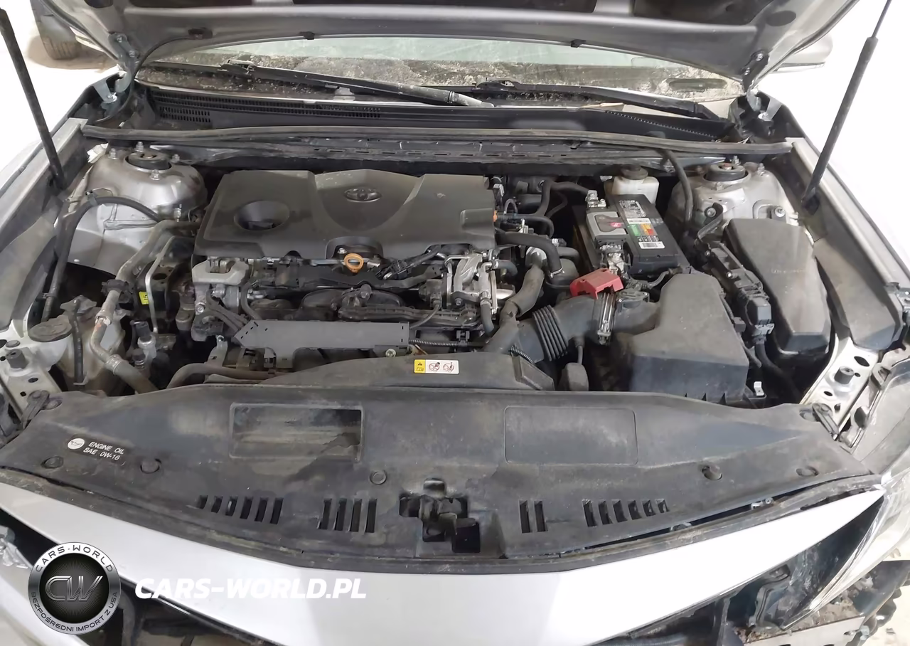 2020 Toyota Camry Le VIN:4T1L11AK0LU946897 - 10