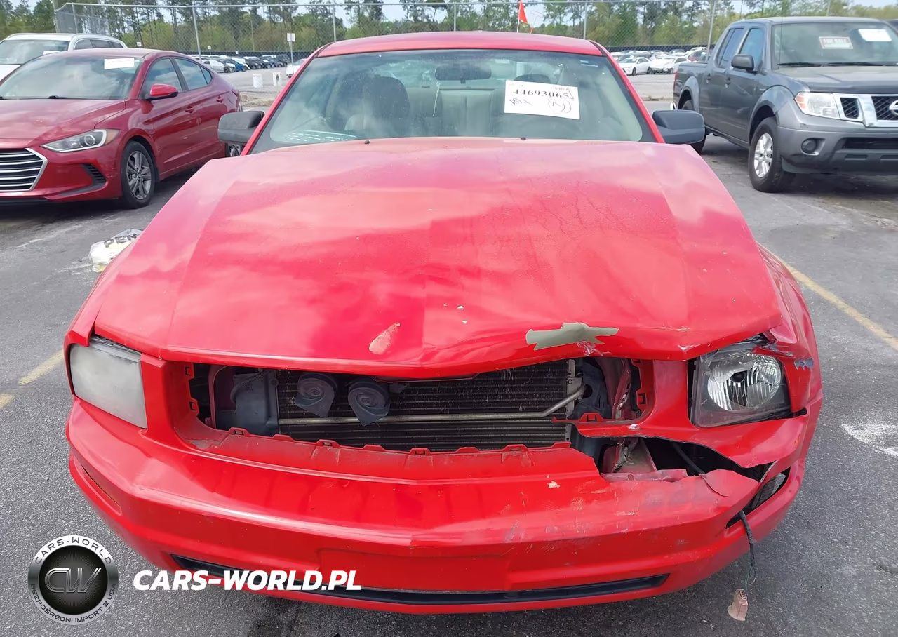 2007 Ford Mustang V6 Deluxe-V6 Premium VIN:1ZVFT80N875358923 - 6