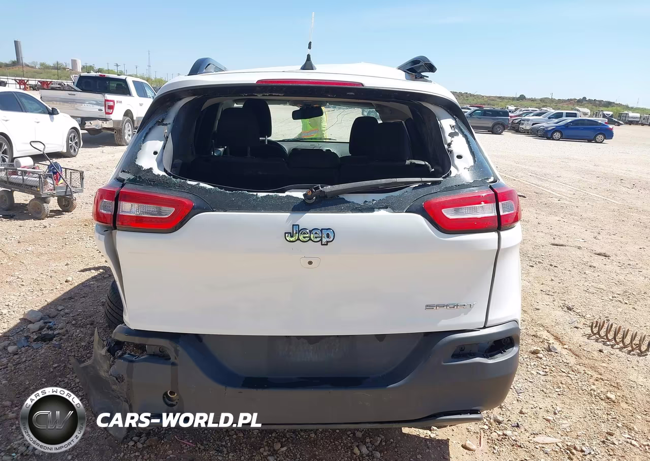 2016 Jeep Cherokee Sport VIN:1C4PJLAB7GW107339 - 17
