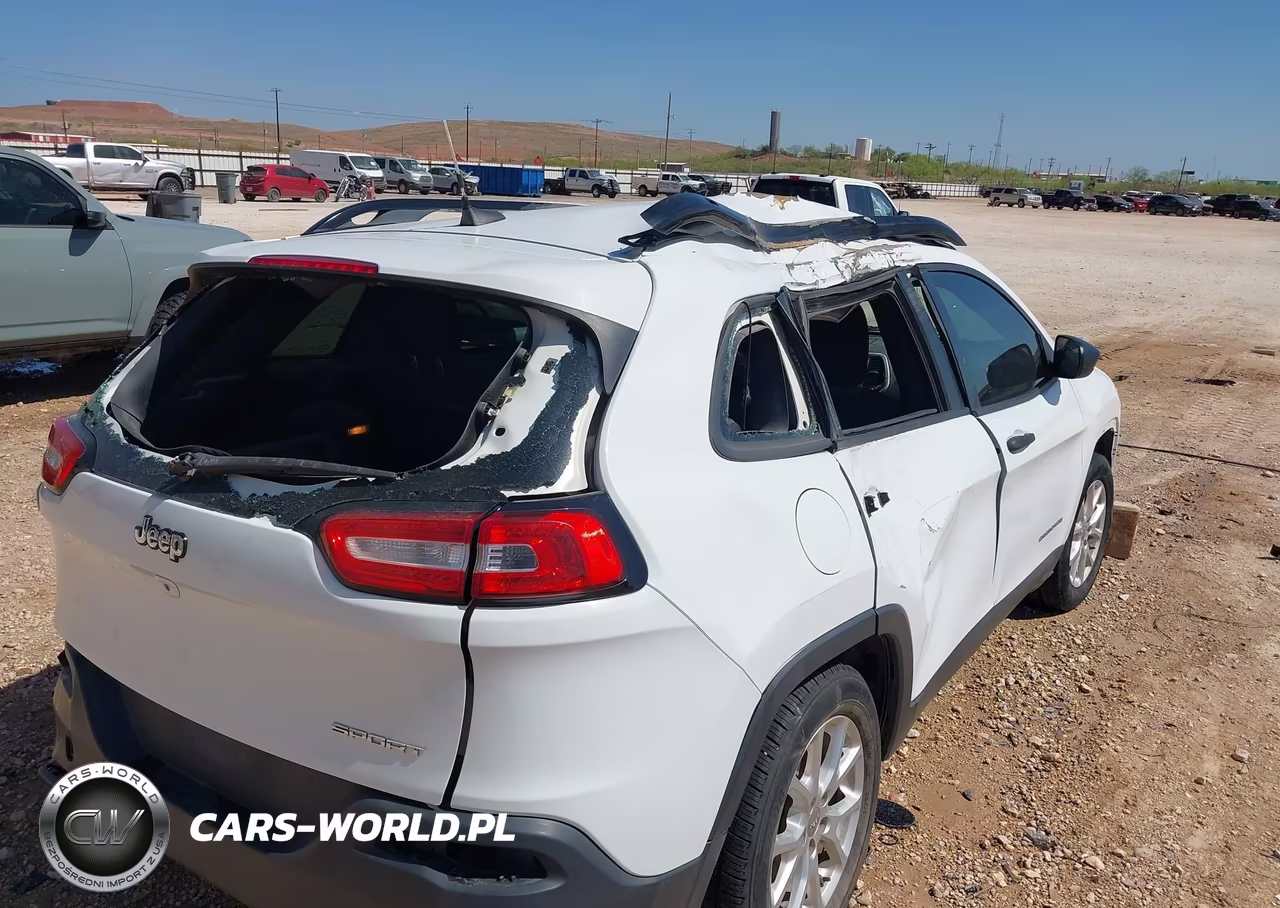 2016 Jeep Cherokee Sport VIN:1C4PJLAB7GW107339 - 20