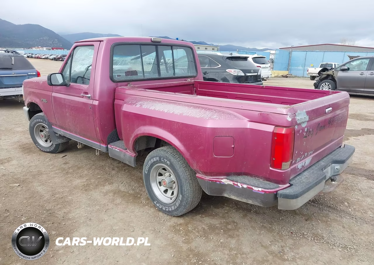 1992 Ford F150 VIN:1FTEF14Y1NKB06995 - 3