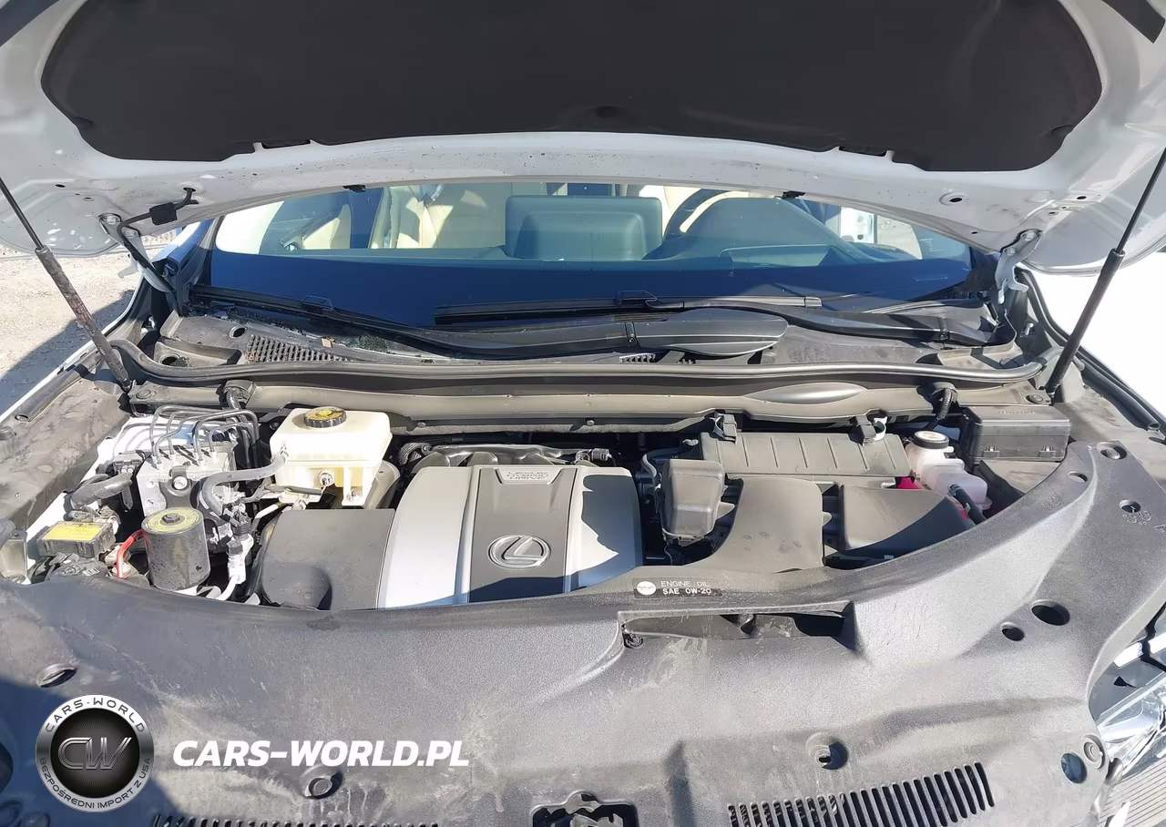 2022 Lexus Rx 450Hl Luxury VIN:JTJJGKFA5N2023701 - 10