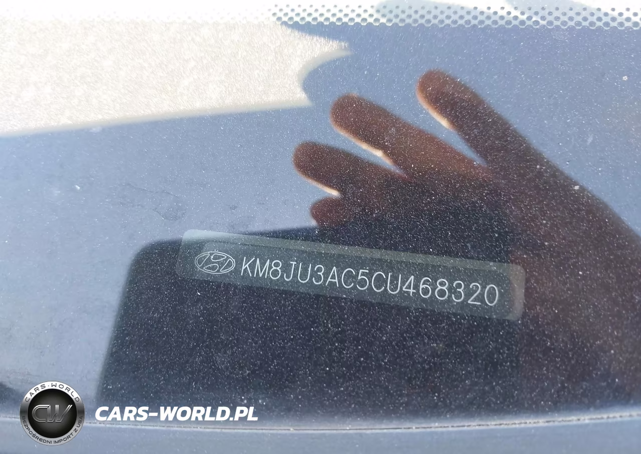 2012 Hyundai Tucson Limited VIN:KM8JU3AC5CU468320 - 9
