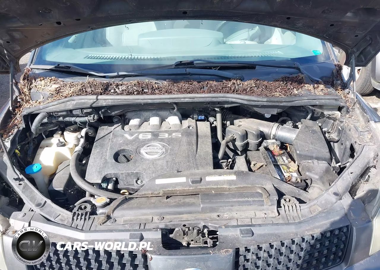 2005 Nissan Quest 3.5 S VIN:5N1BV28U15N112566 - 10