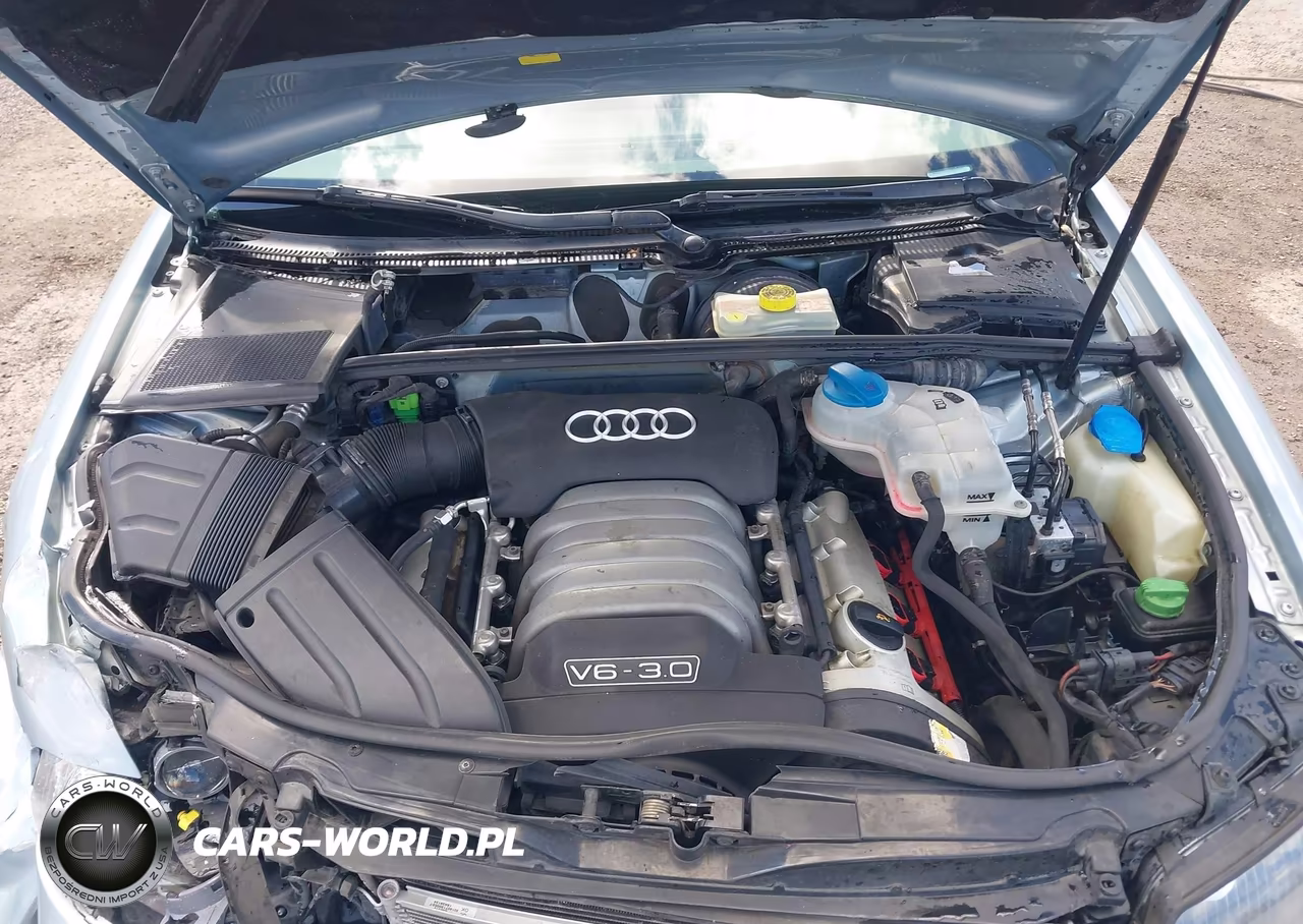 2005 Audi A4 3.0-3.0 Special Edition VIN:WAULT68E95A064379 - 10