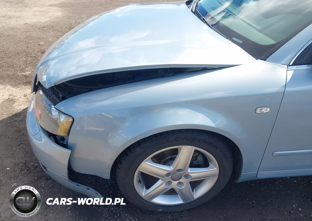 2005 Audi A4 3.0-3.0 Special Edition VIN:WAULT68E95A064379 - 19