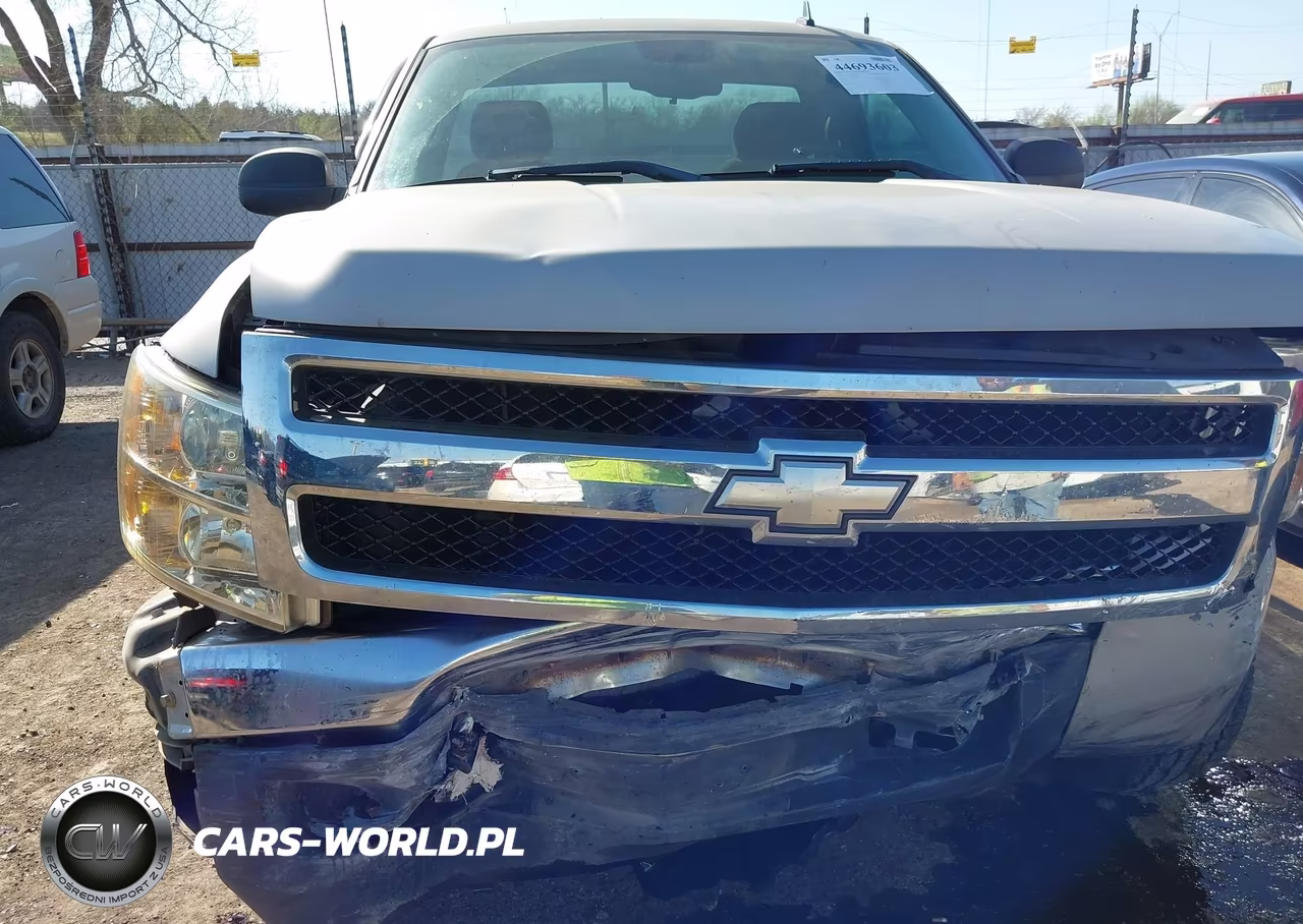 2008 Chevrolet Silverado 1500 Work Truck VIN:1GCEK14C08Z144634 - 6