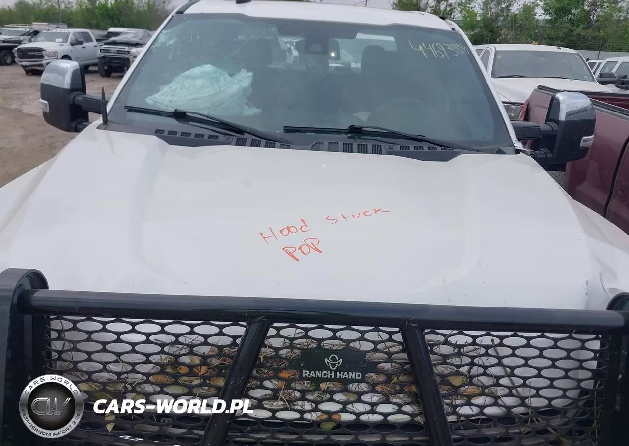 2019 Ford F-250 King Ranch VIN:1FT7W2BT7KEG73079 - 10