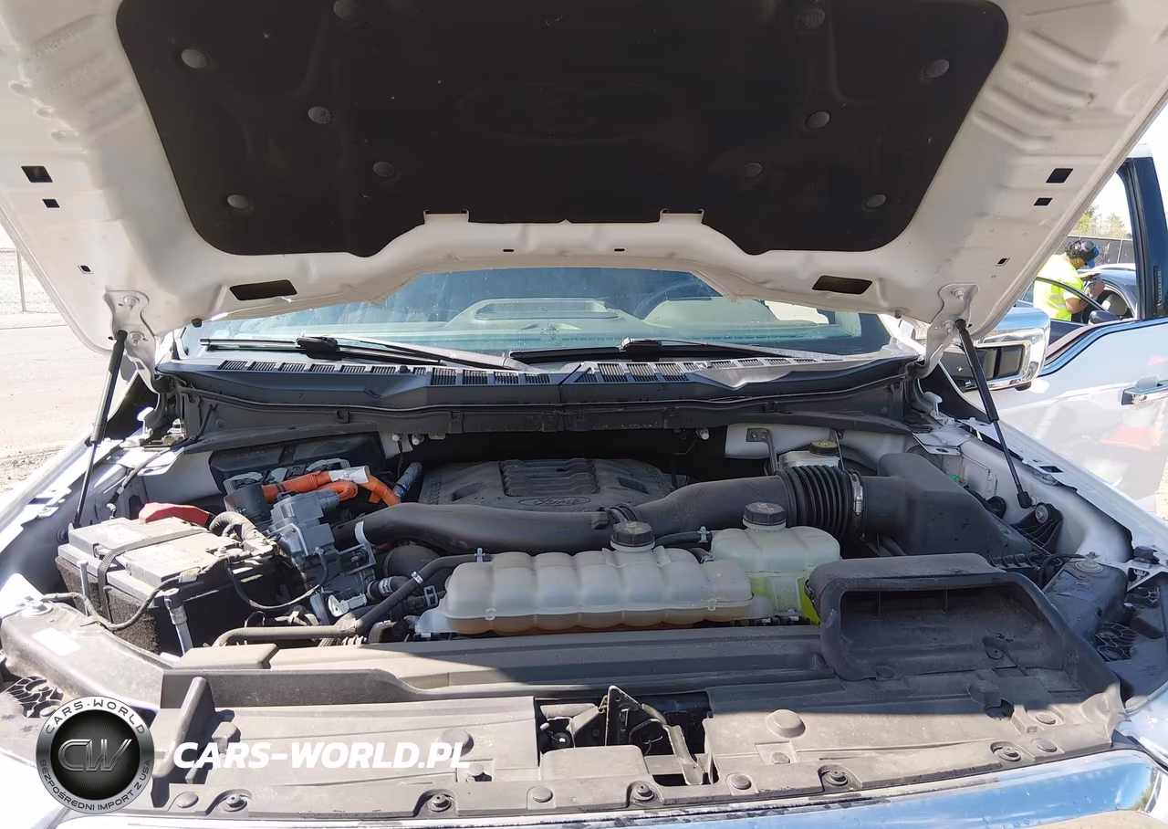 2021 Ford F-150 King Ranch VIN:1FTFW1ED2MFA45048 - 10