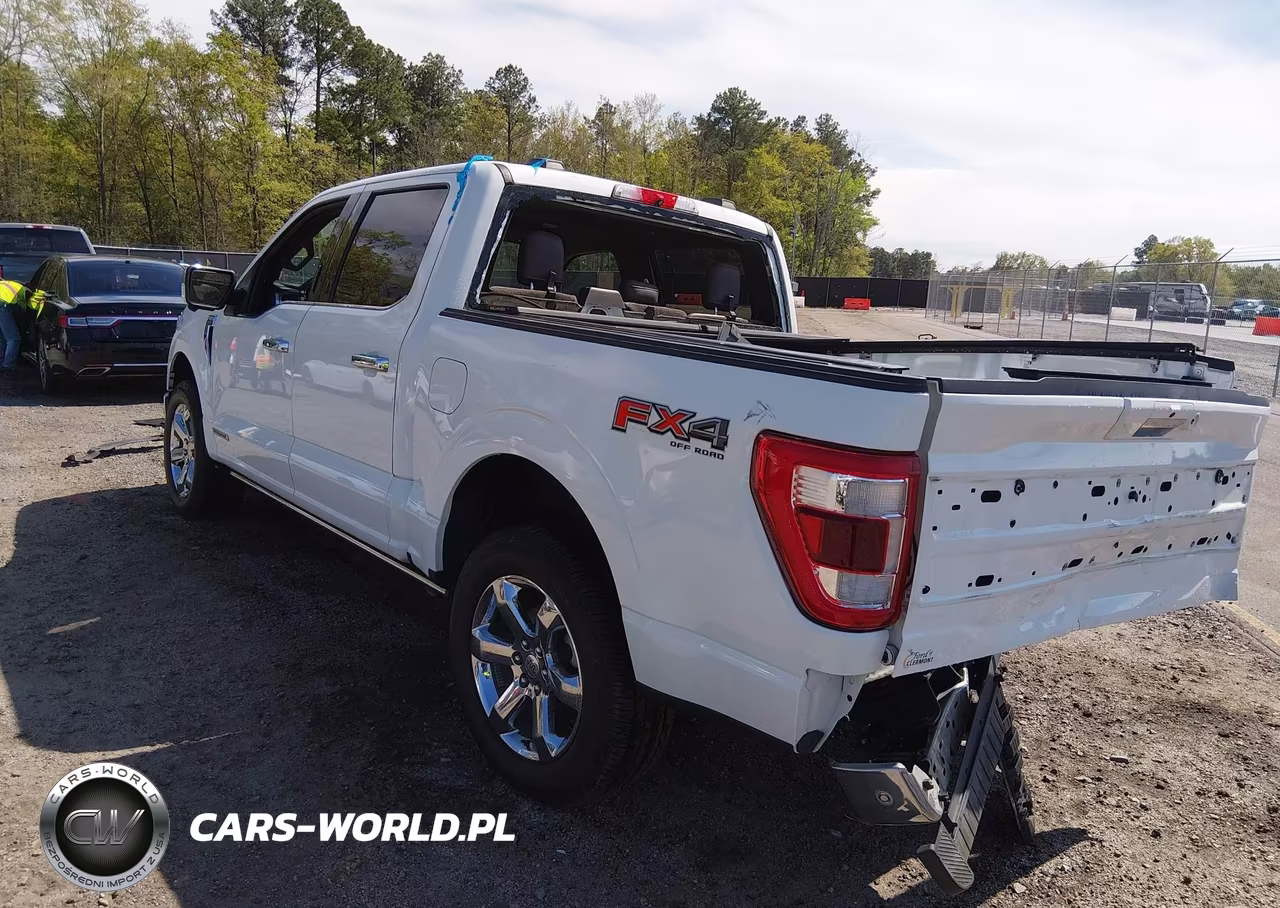 2021 Ford F-150 King Ranch VIN:1FTFW1ED2MFA45048 - 3