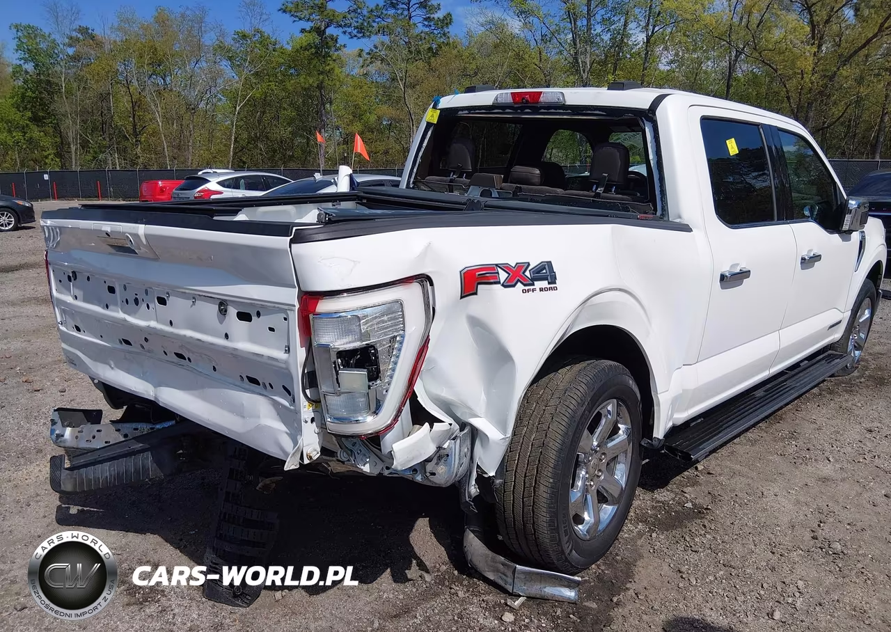 2021 Ford F-150 King Ranch VIN:1FTFW1ED2MFA45048 - 6