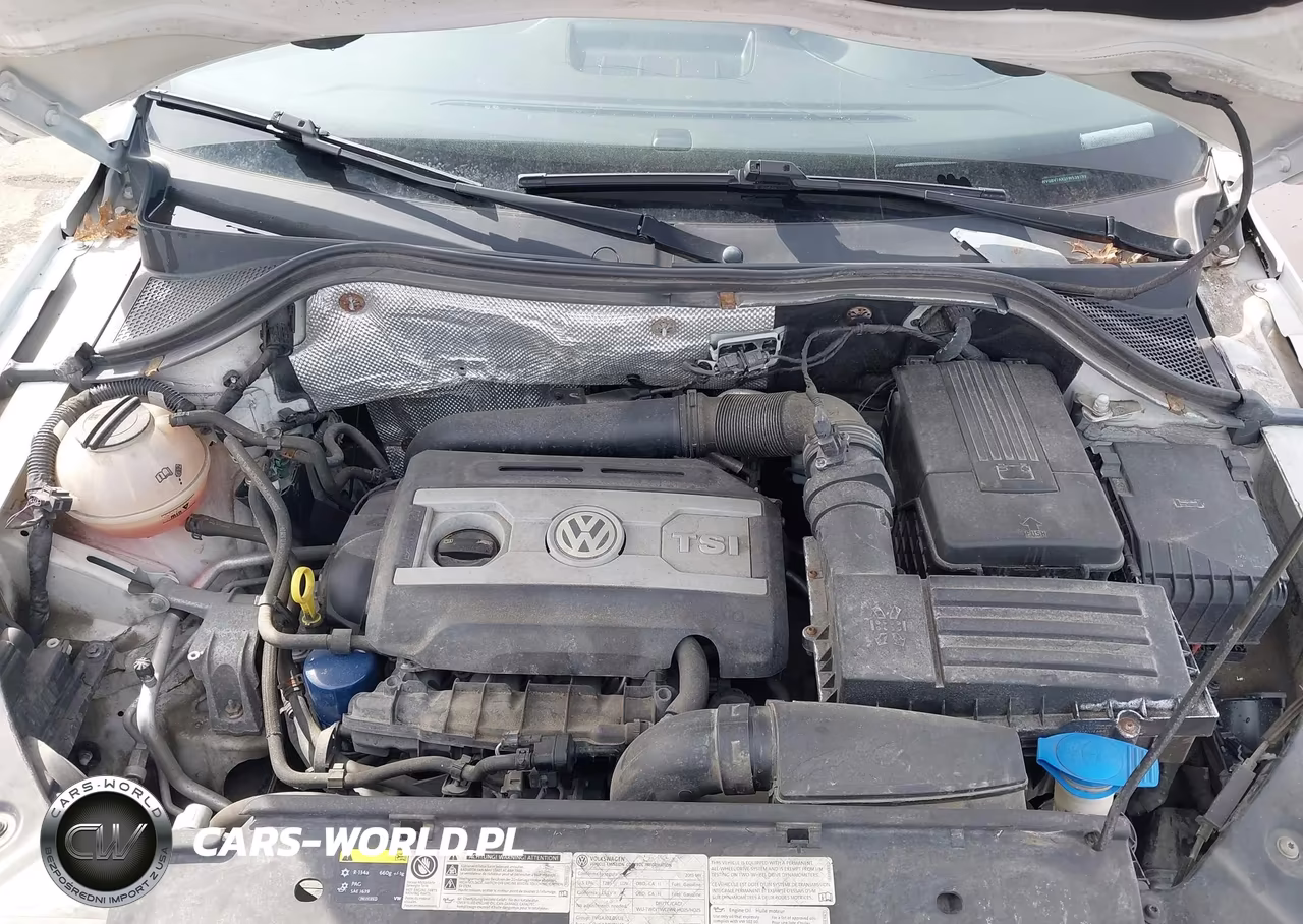 2015 Volkswagen Tiguan Se VIN:WVGBV7AX2FW539199 - 10