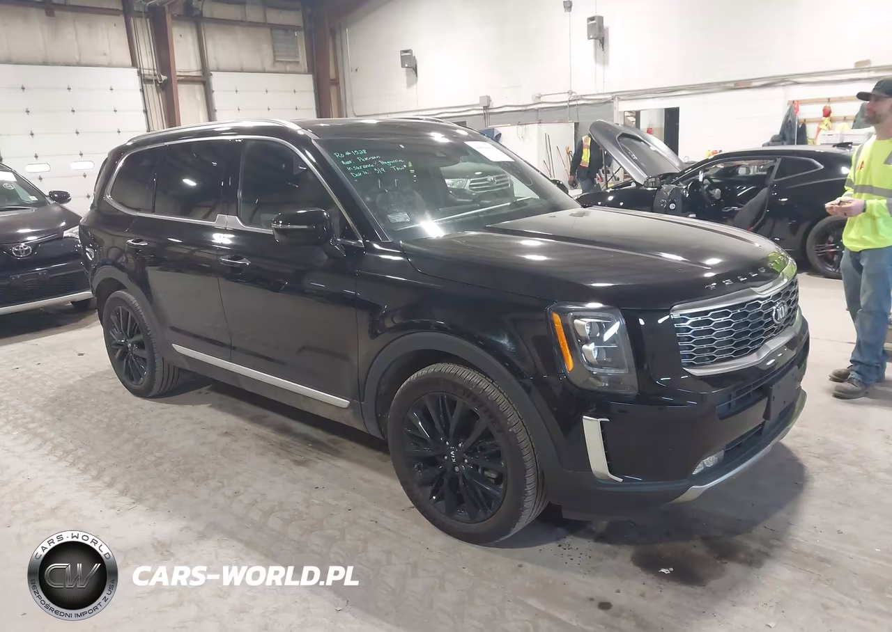 2021 Kia Telluride Sx VIN:5XYP5DHC9MG145396 - 1