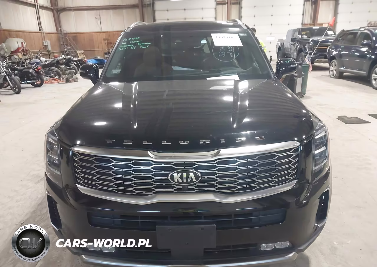 2021 Kia Telluride Sx VIN:5XYP5DHC9MG145396 - 13