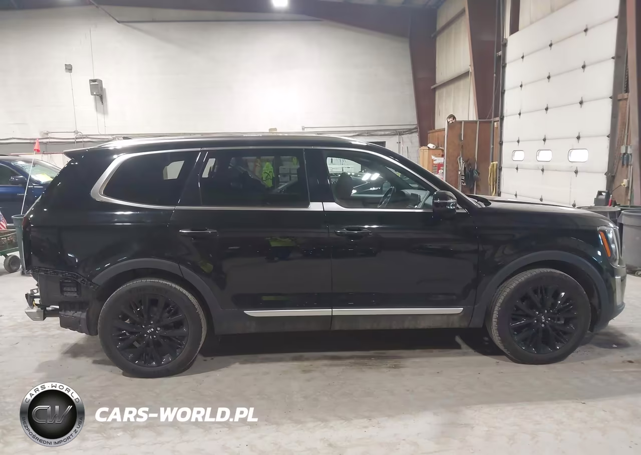 2021 Kia Telluride Sx VIN:5XYP5DHC9MG145396 - 14
