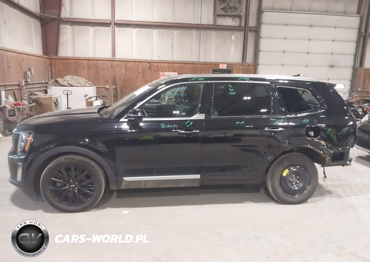 2021 Kia Telluride Sx VIN:5XYP5DHC9MG145396 - 15