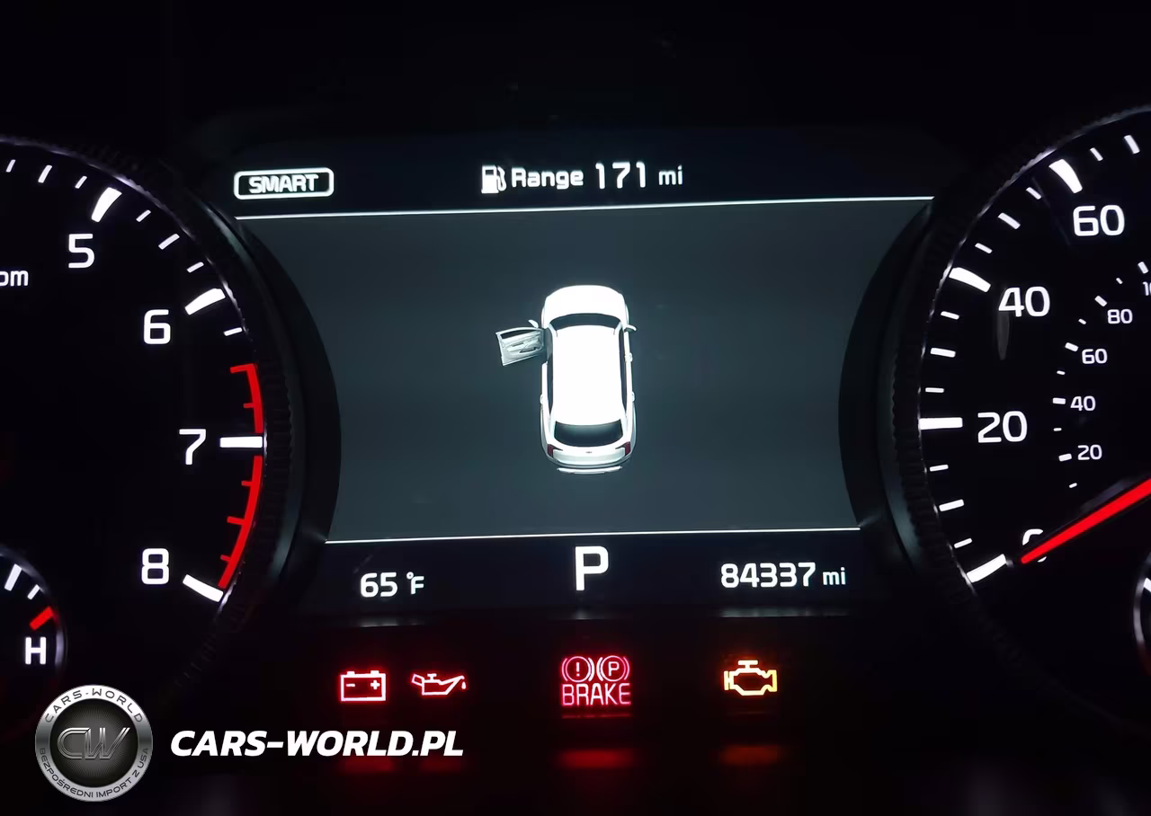 2021 Kia Telluride Sx VIN:5XYP5DHC9MG145396 - 16