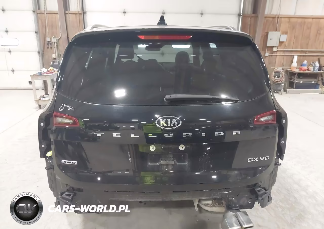 2021 Kia Telluride Sx VIN:5XYP5DHC9MG145396 - 17