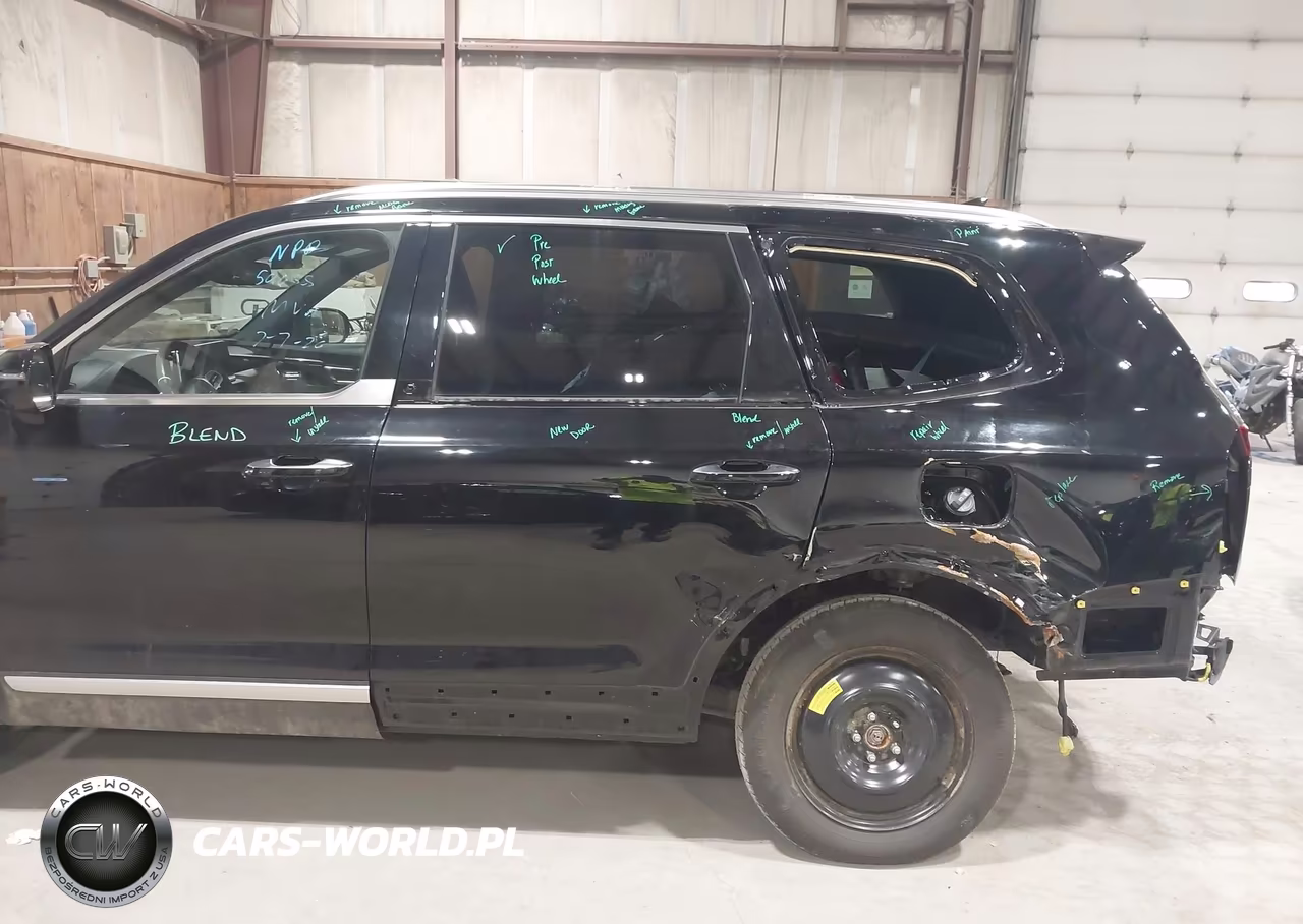 2021 Kia Telluride Sx VIN:5XYP5DHC9MG145396 - 18