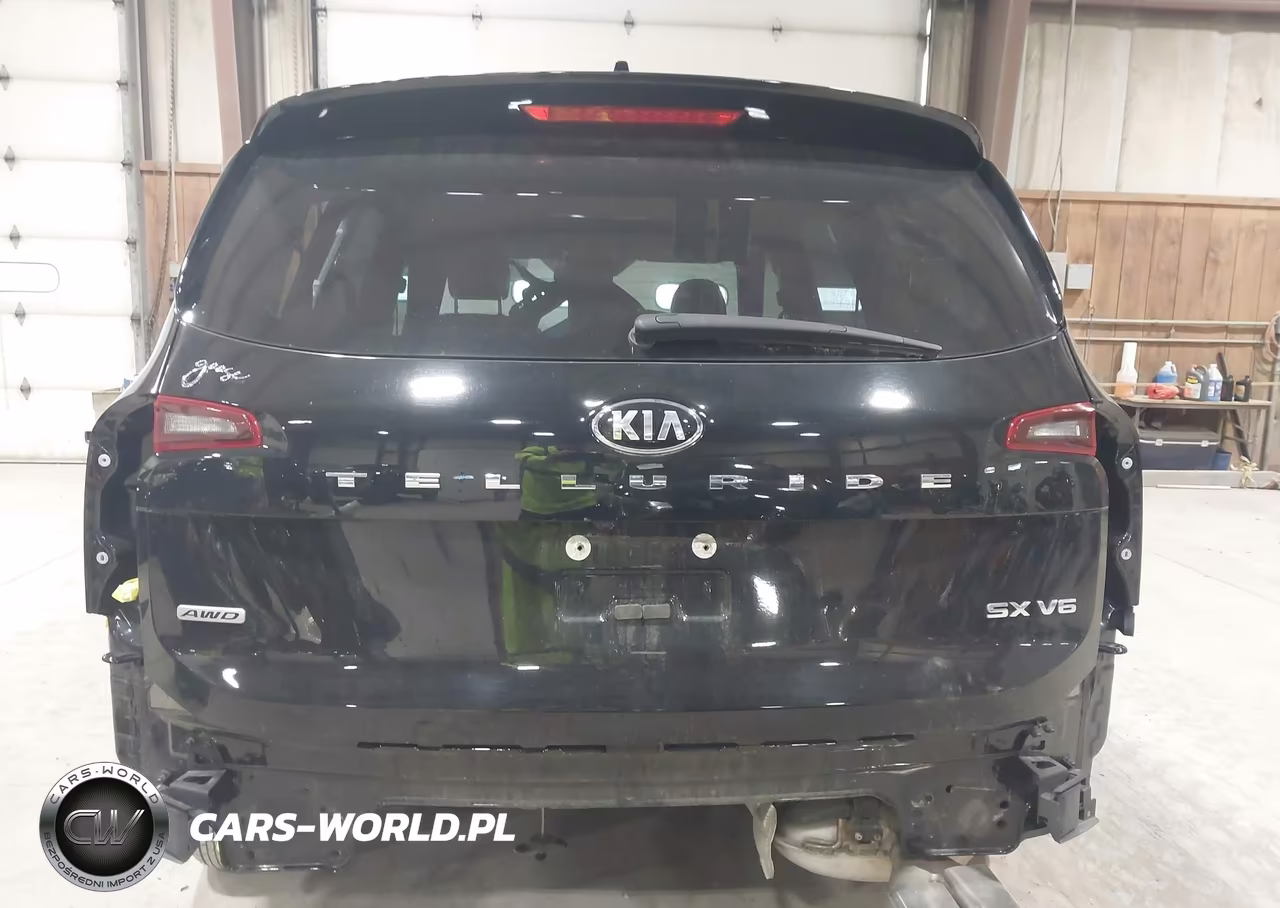 2021 Kia Telluride Sx VIN:5XYP5DHC9MG145396 - 19