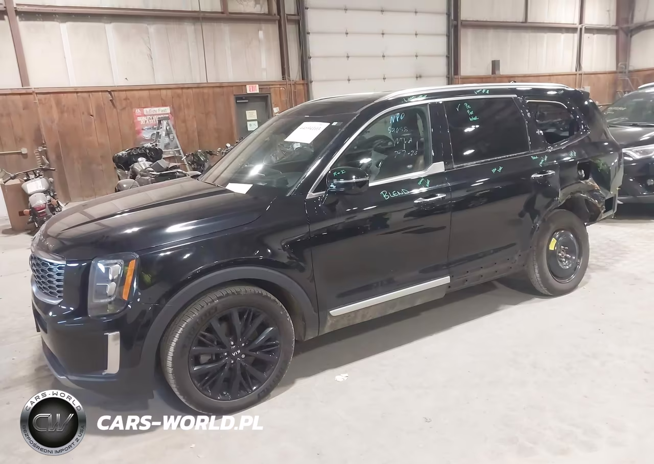 2021 Kia Telluride Sx VIN:5XYP5DHC9MG145396 - 2