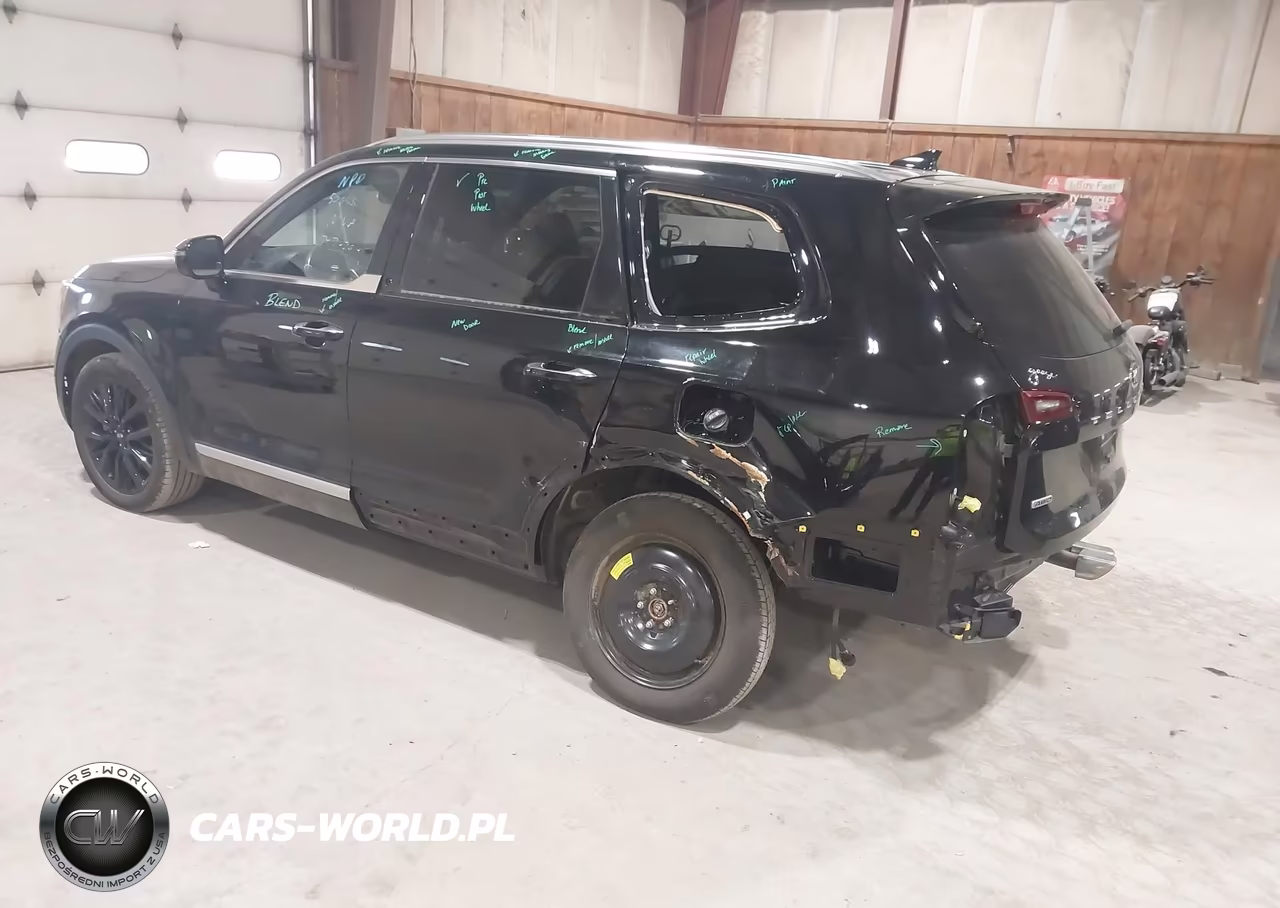 2021 Kia Telluride Sx VIN:5XYP5DHC9MG145396 - 3