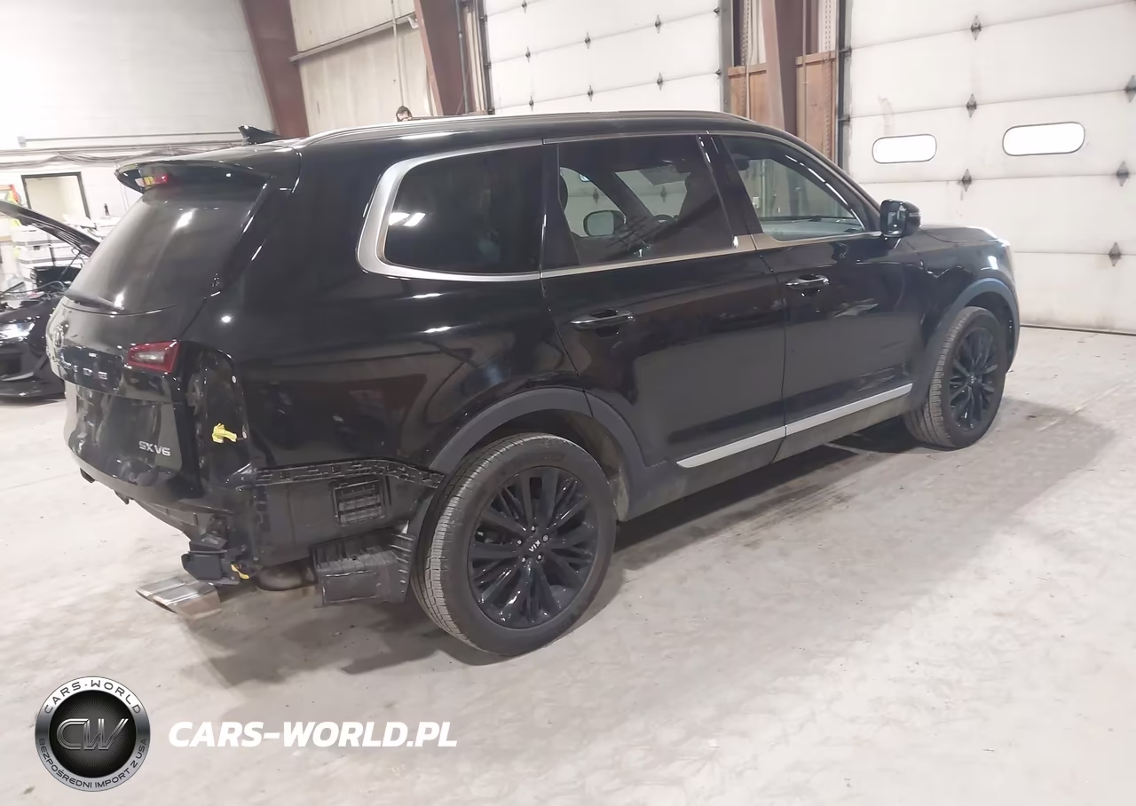 2021 Kia Telluride Sx VIN:5XYP5DHC9MG145396 - 4