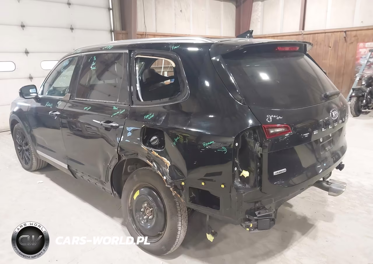 2021 Kia Telluride Sx VIN:5XYP5DHC9MG145396 - 6