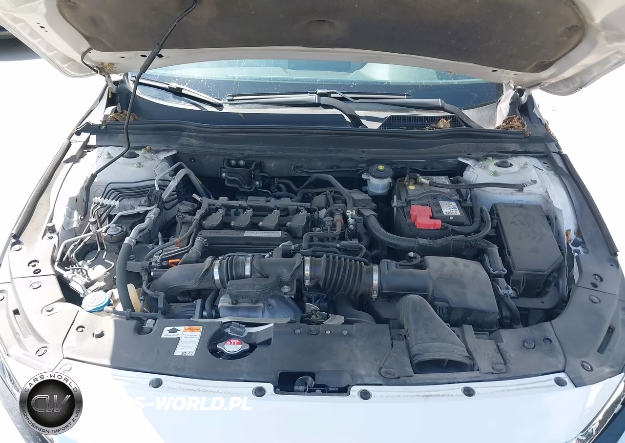 2019 Honda Accord Ex-L VIN:1HGCV1F5XKA163566 - 10