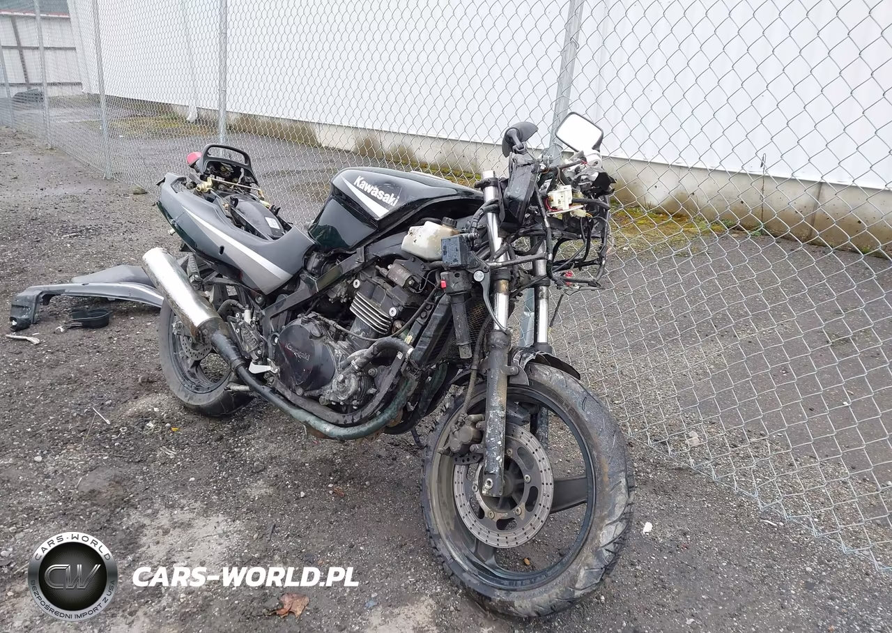 2005 Kawasaki Ex500 D – zdjęcie 1 z 15