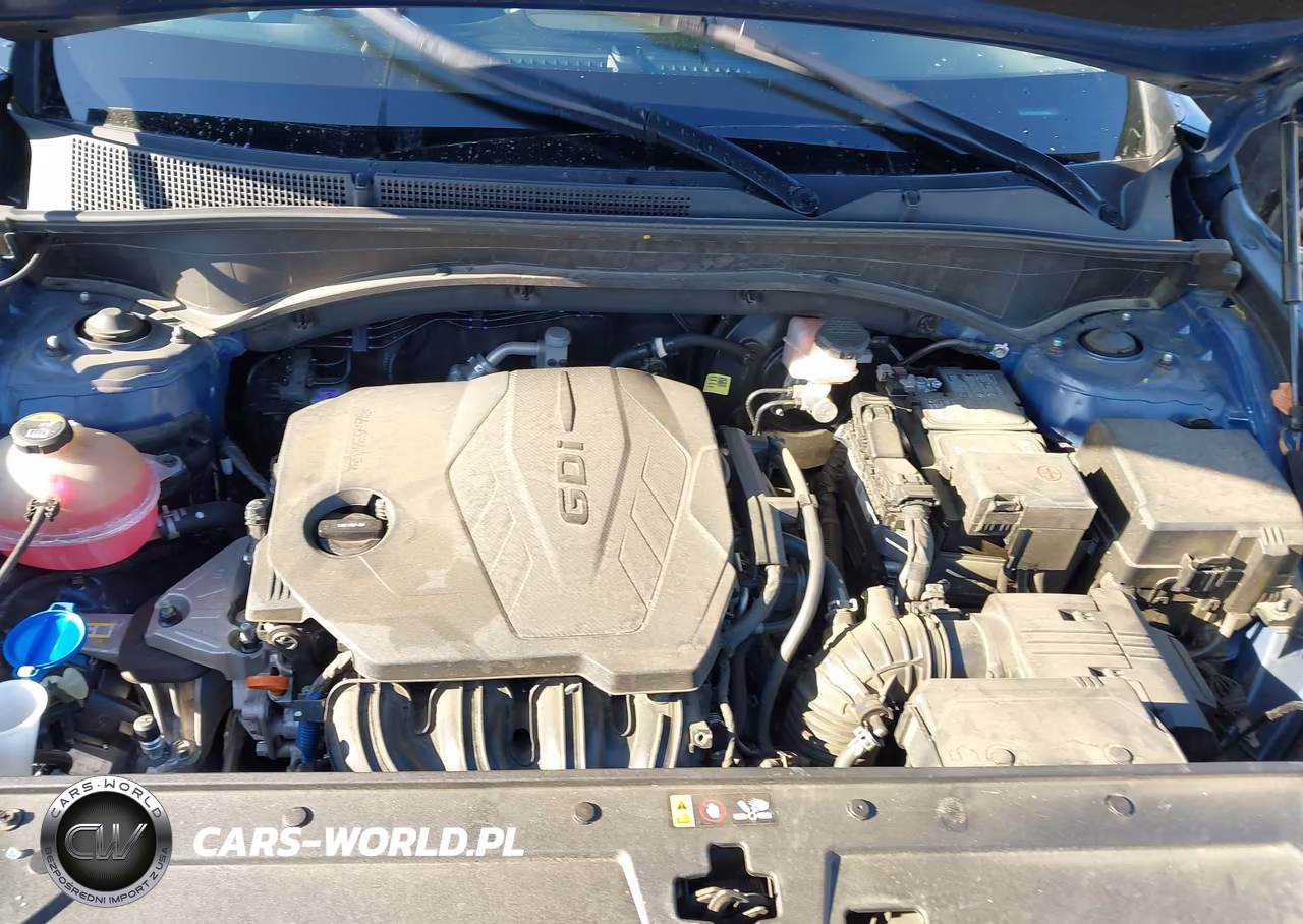 2023 Hyundai Santa Fe Sel VIN:5NMS2DAJ7PH517405 - 10