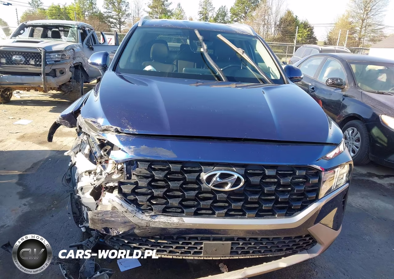 2023 Hyundai Santa Fe Sel VIN:5NMS2DAJ7PH517405 - 12