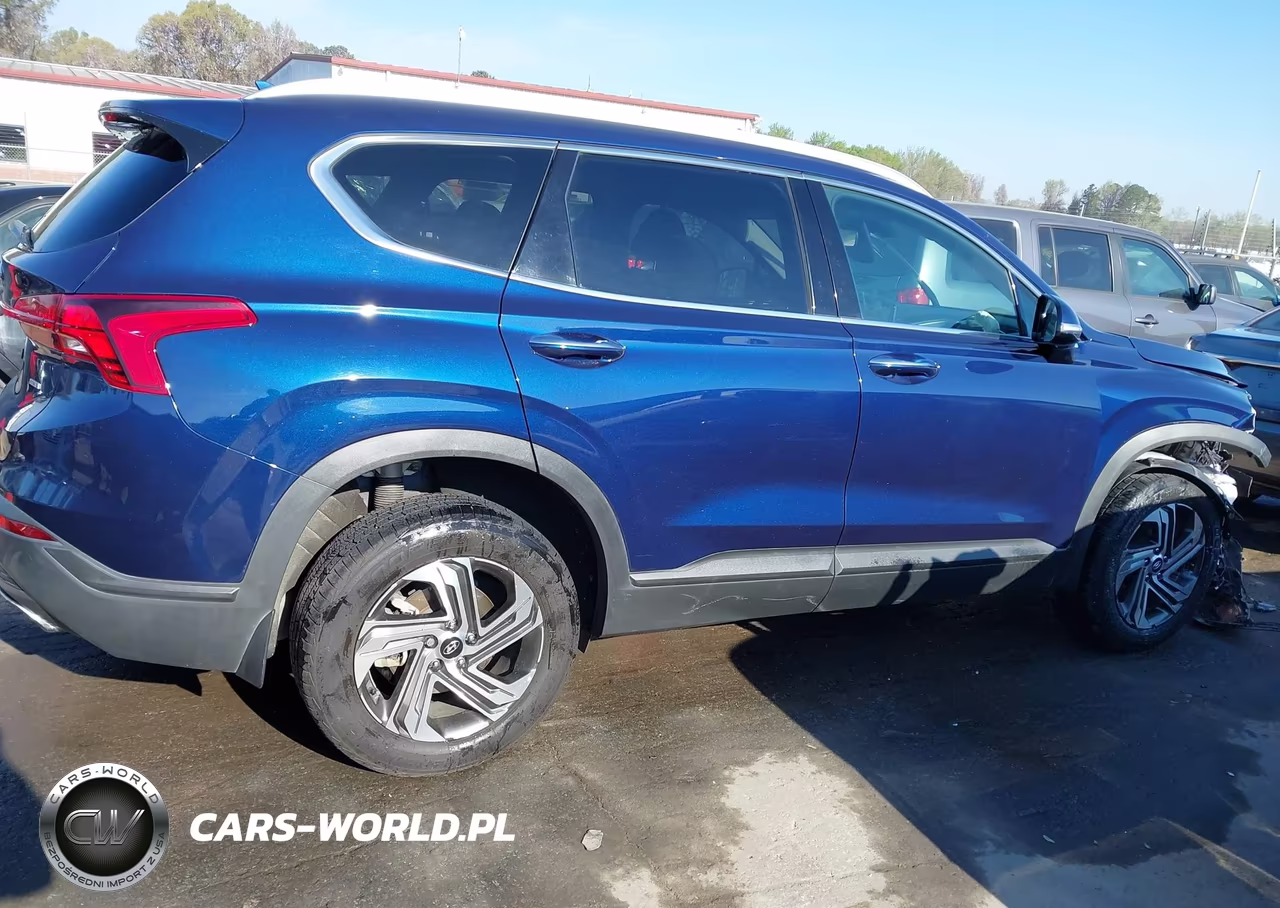 2023 Hyundai Santa Fe Sel VIN:5NMS2DAJ7PH517405 - 13