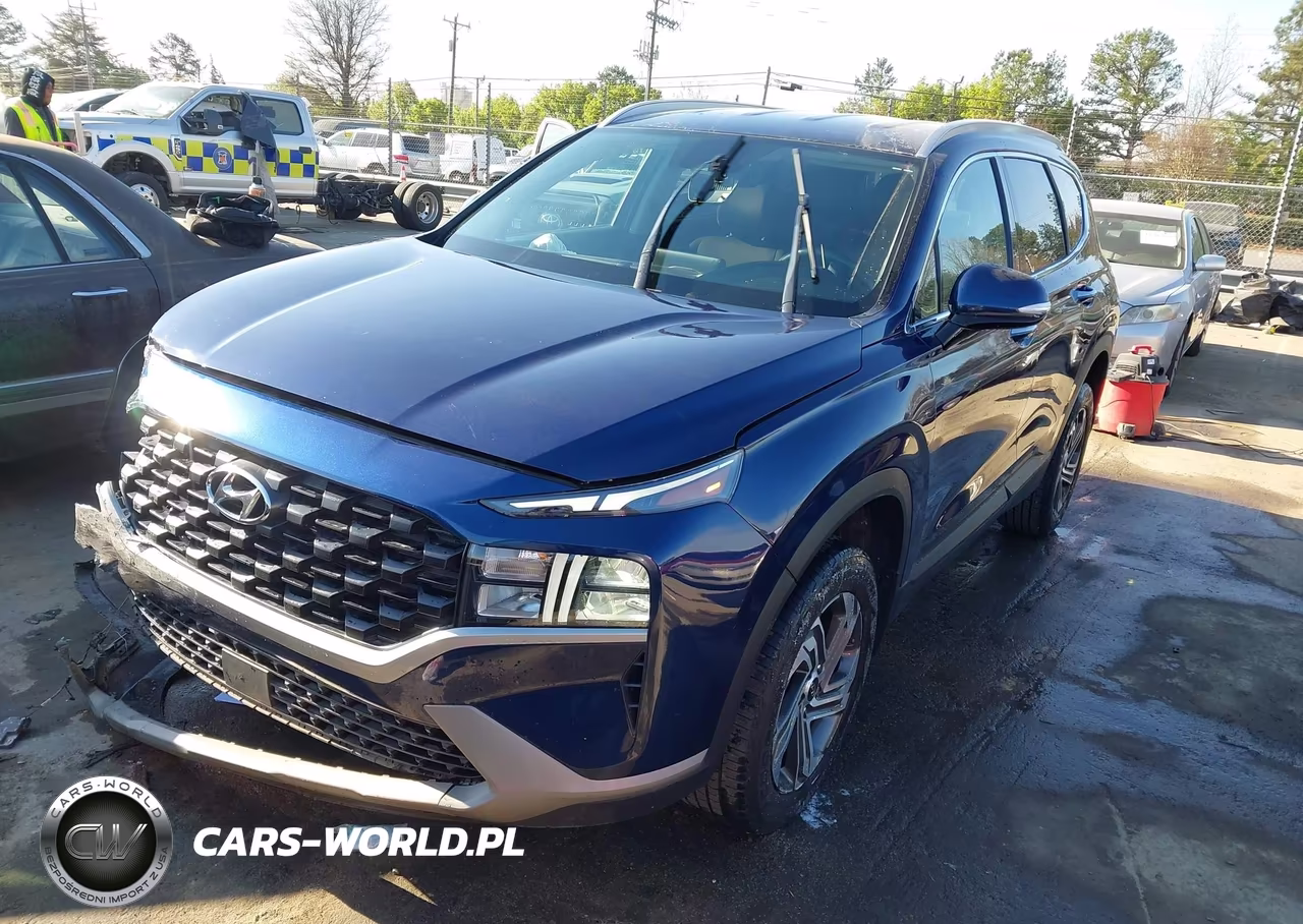 2023 Hyundai Santa Fe Sel VIN:5NMS2DAJ7PH517405 - 2