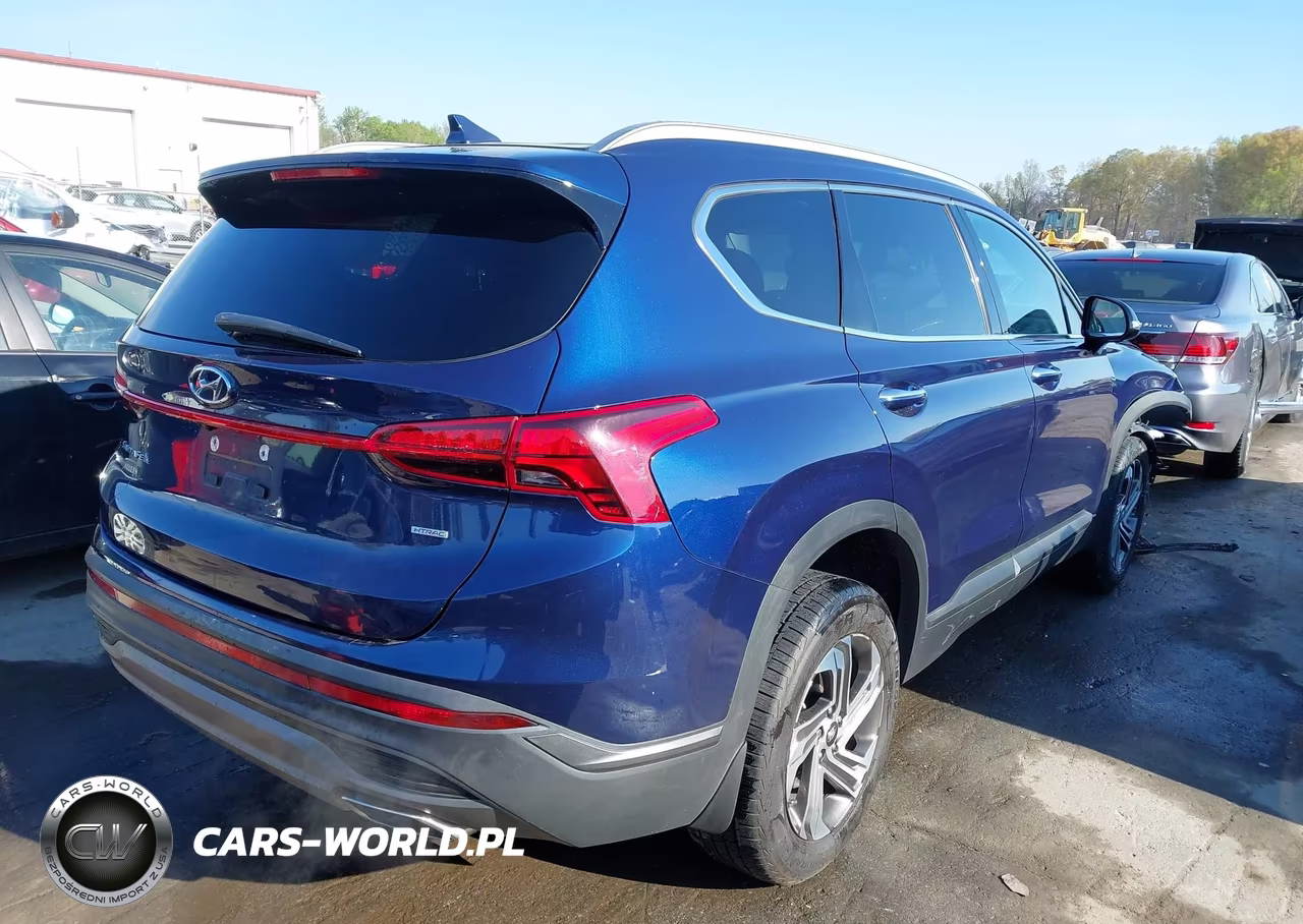 2023 Hyundai Santa Fe Sel VIN:5NMS2DAJ7PH517405 - 4