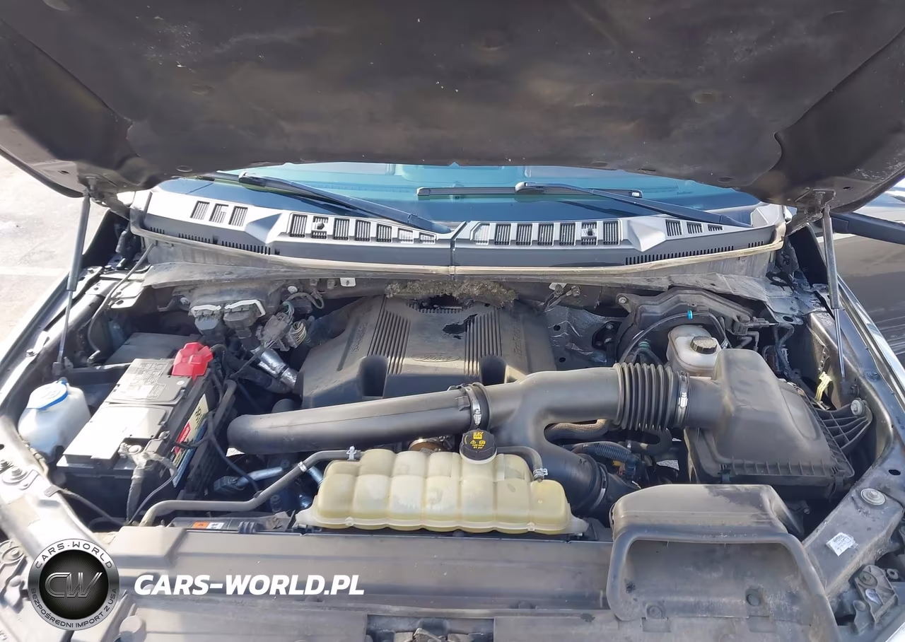 2019 Ford F-150 Platinum VIN:1FTEW1E40KFB96012 - 10