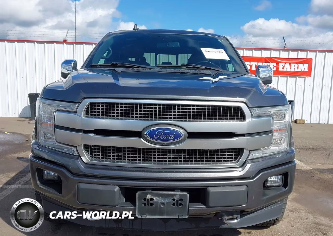 2019 Ford F-150 Platinum VIN:1FTEW1E40KFB96012 - 13